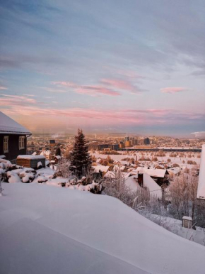 Apartment in Lillestrøm with free parking and great view, sleep 3 people
